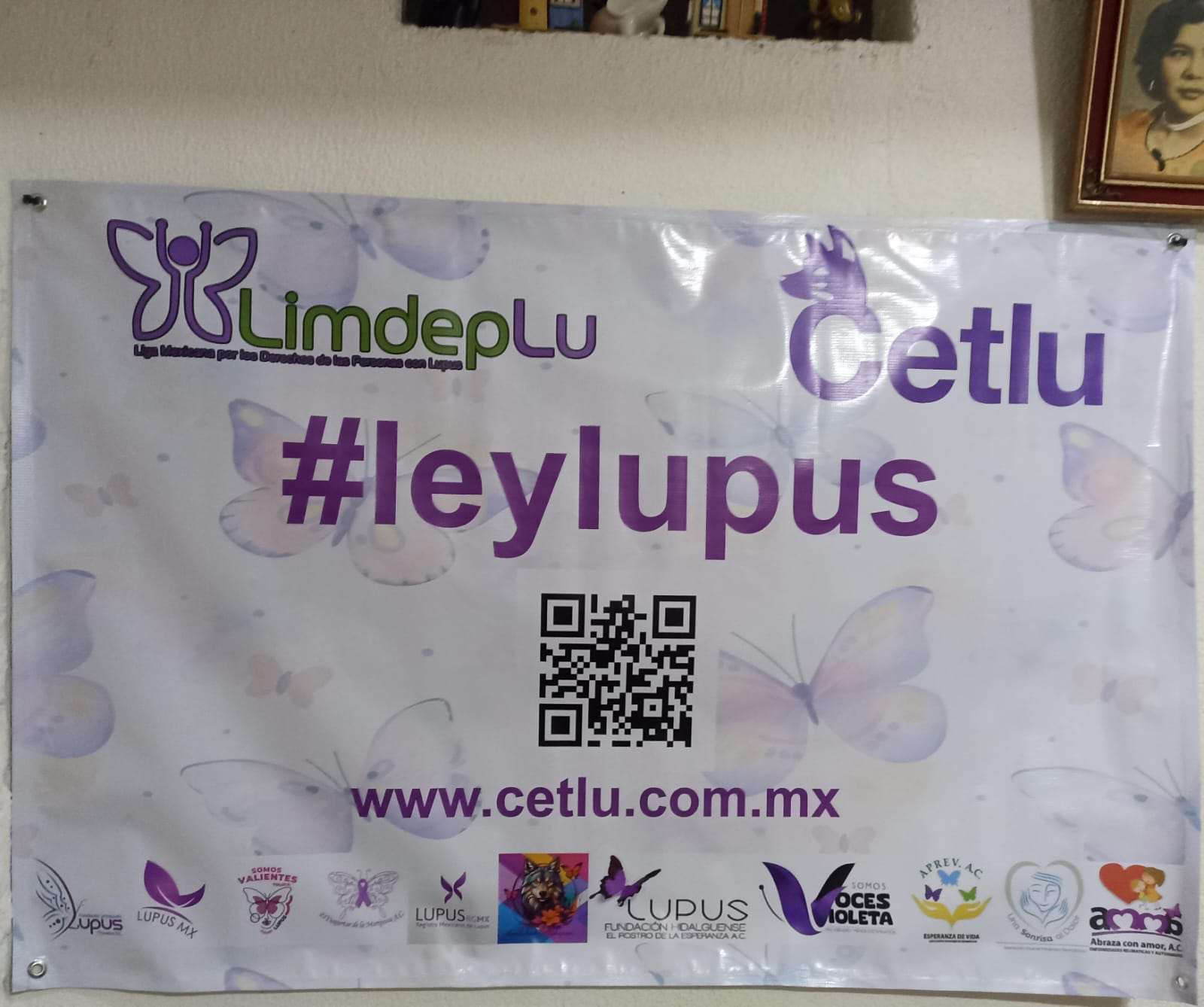 Imagen (40)
