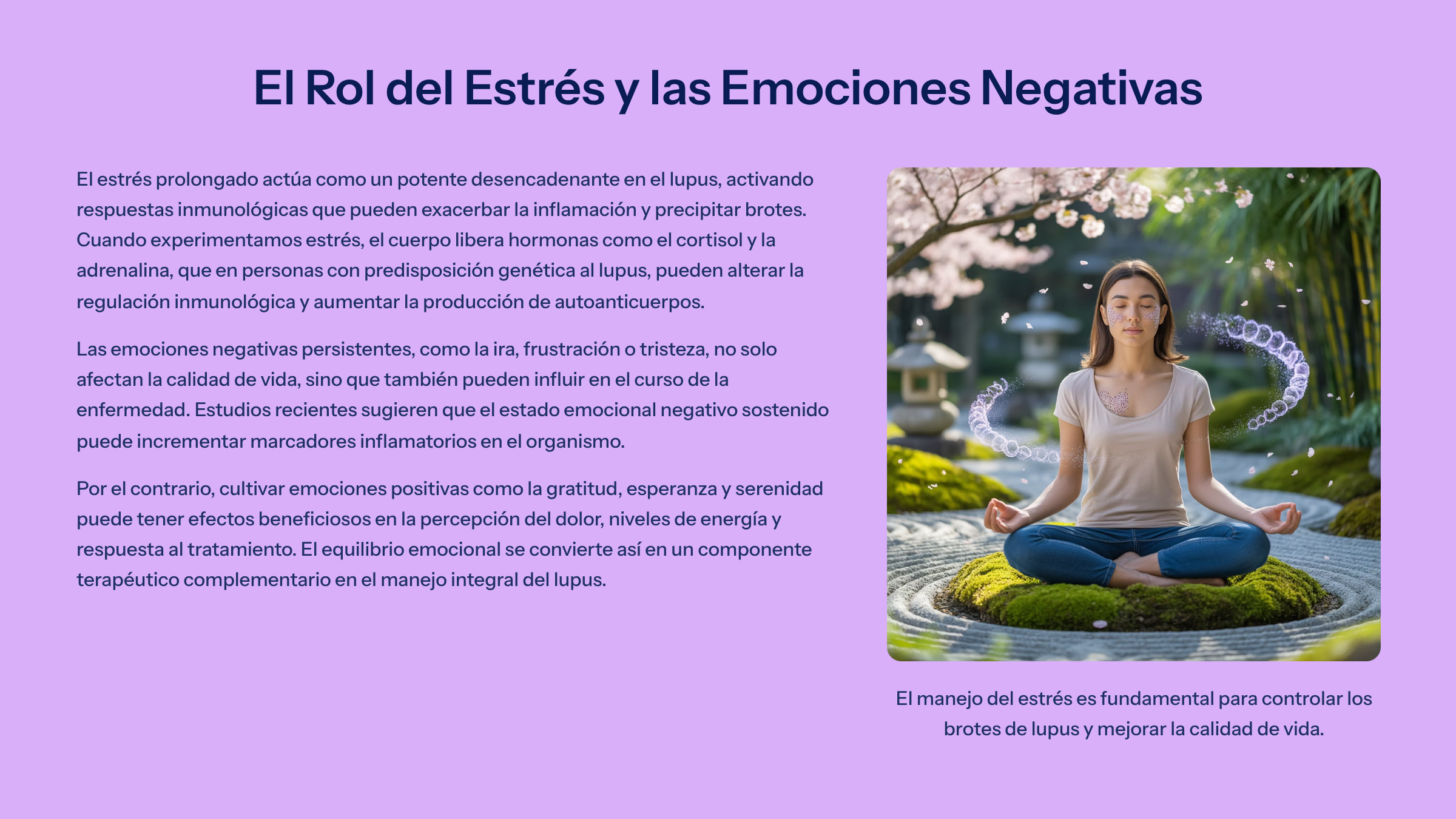 11_El-Rol-del-Estres-y-las-Emociones-Negativas